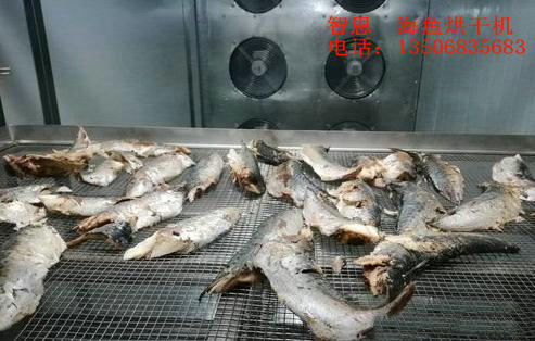 熱泵海魚(yú)烘干機(jī)